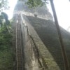 Tikal, Guatemala. Christiane was definitely not climbing up there.